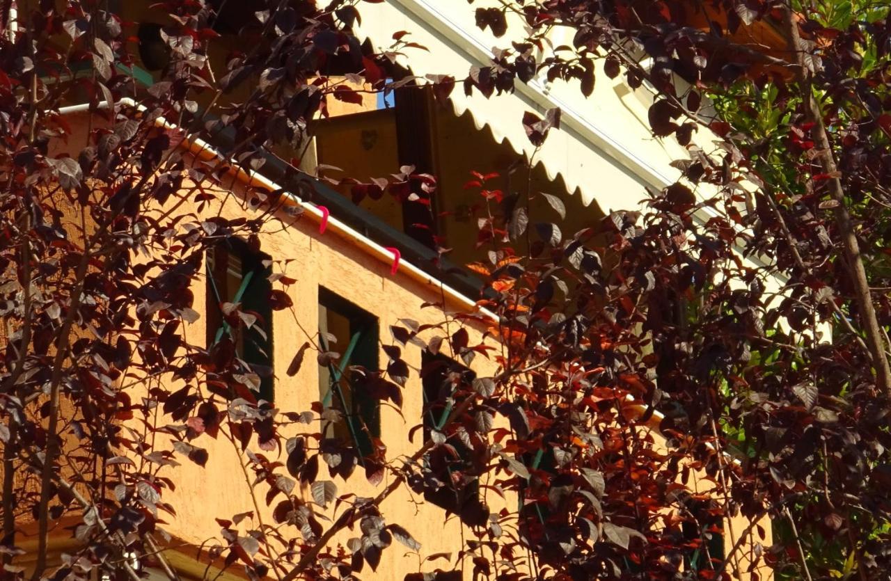 Trip Your Mind In Greece Psakoudia Exterior foto